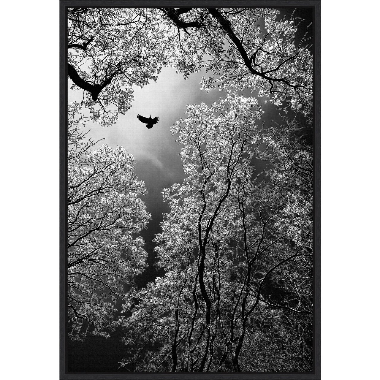 Flight by Goran Stamenkovic 16-in. W x 23-in. H. Canvas Wall Art Print Framed in Black